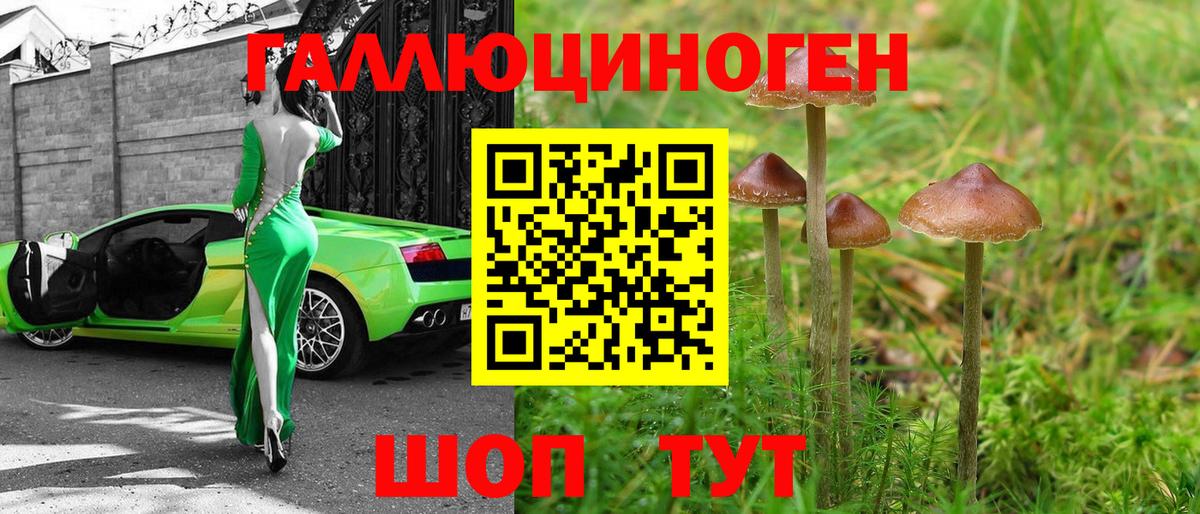 Чита  Псилоцибиновые грибы Magic Shrooms  Вход с VPN 